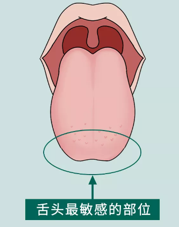 怎么伸舌头才是真正的舌吻