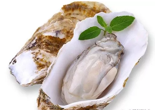 牡蛎肽能改善性功能吗