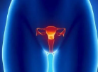 女性卵巢保养方法有哪些