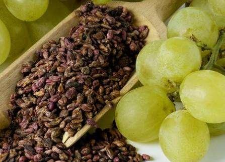 葡萄籽会有什么副作用