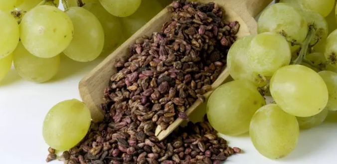葡萄籽对人体有什么好处