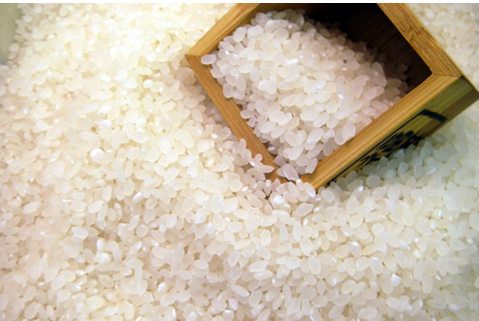 粳米是什么米和大米有区别吗?