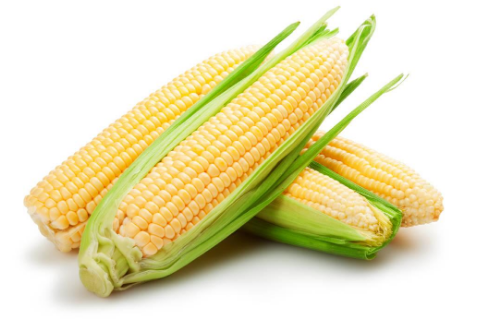 玉米的功效与作用,可以减肥吗