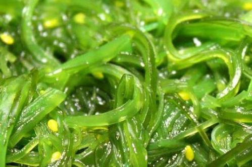 螺旋藻的功效与作用，真能减肥吗