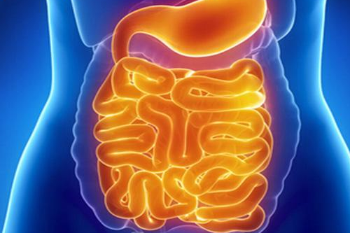 胃肠功能紊乱该如何正确调理？