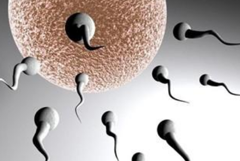 备孕进行时，如何在家自测精子质量