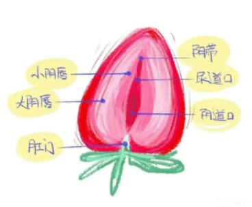 女人性生活沒水是什么原因,該怎么治療