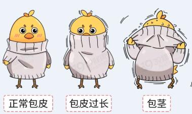 男性gui頭里面有白色分泌物