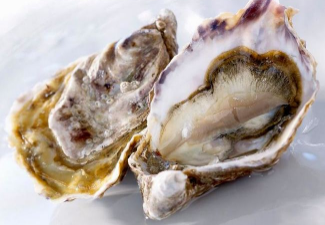 海参牡蛎片功效与作用及食用方法