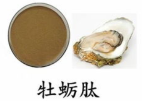 长期服用牡蛎肽会影响性功能吗