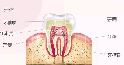 牙髓炎怎么治疗要多久