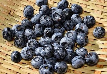 蓝莓叶黄素的功效与作用副作用