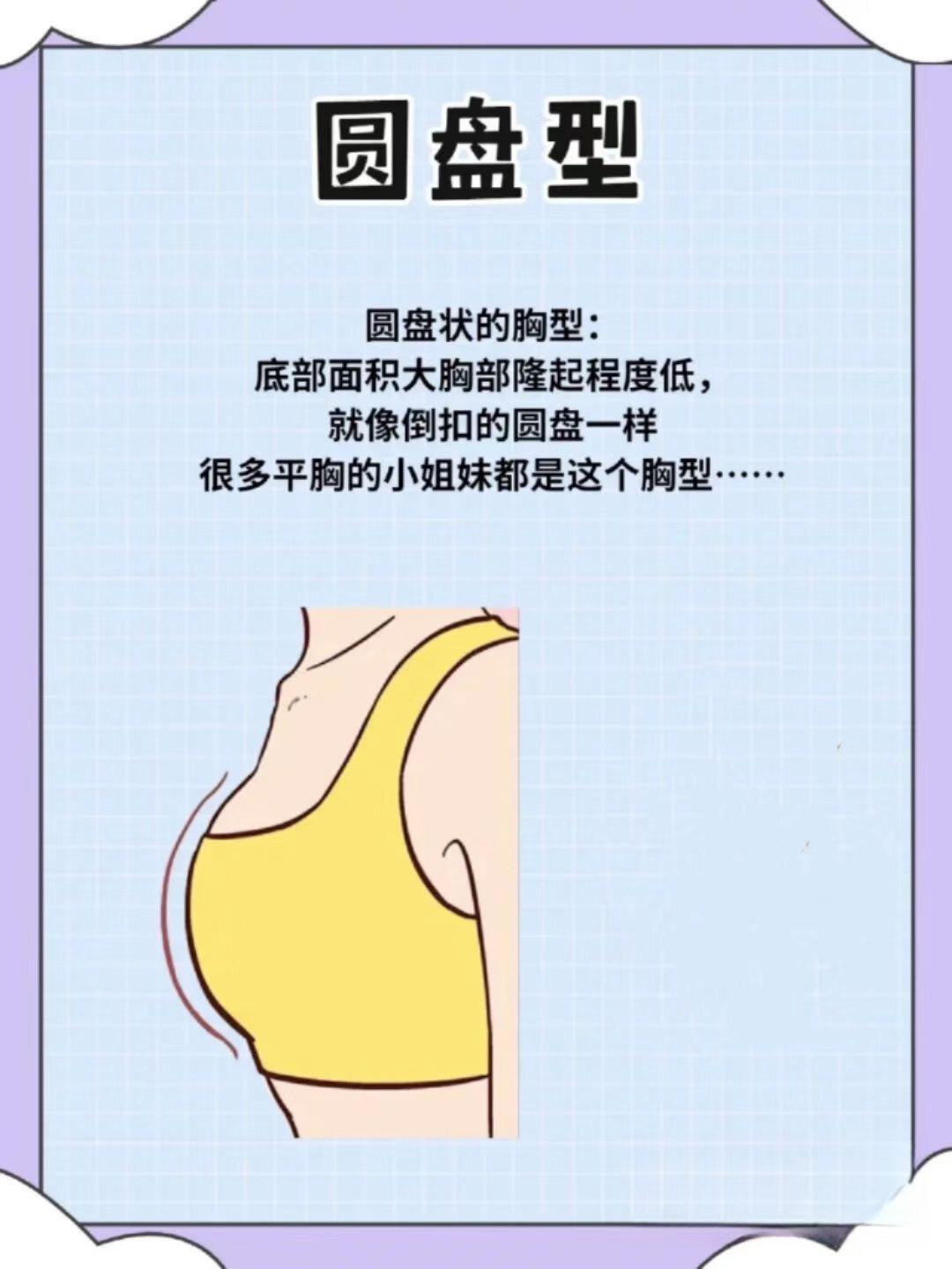 女人最好看的胸图片