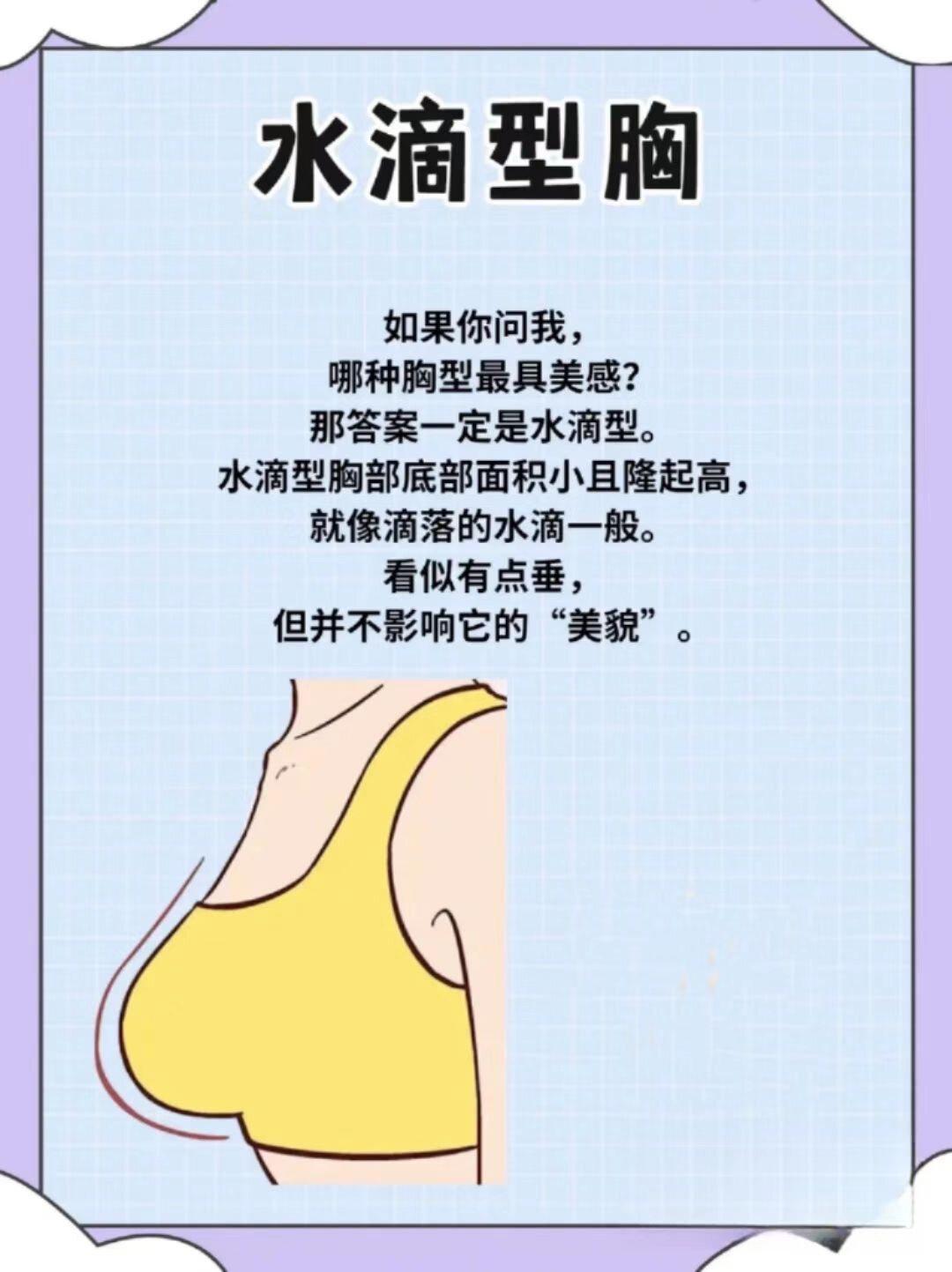 女人胸部图片