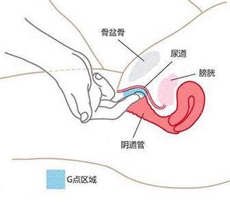 女性快感的誤區(qū)